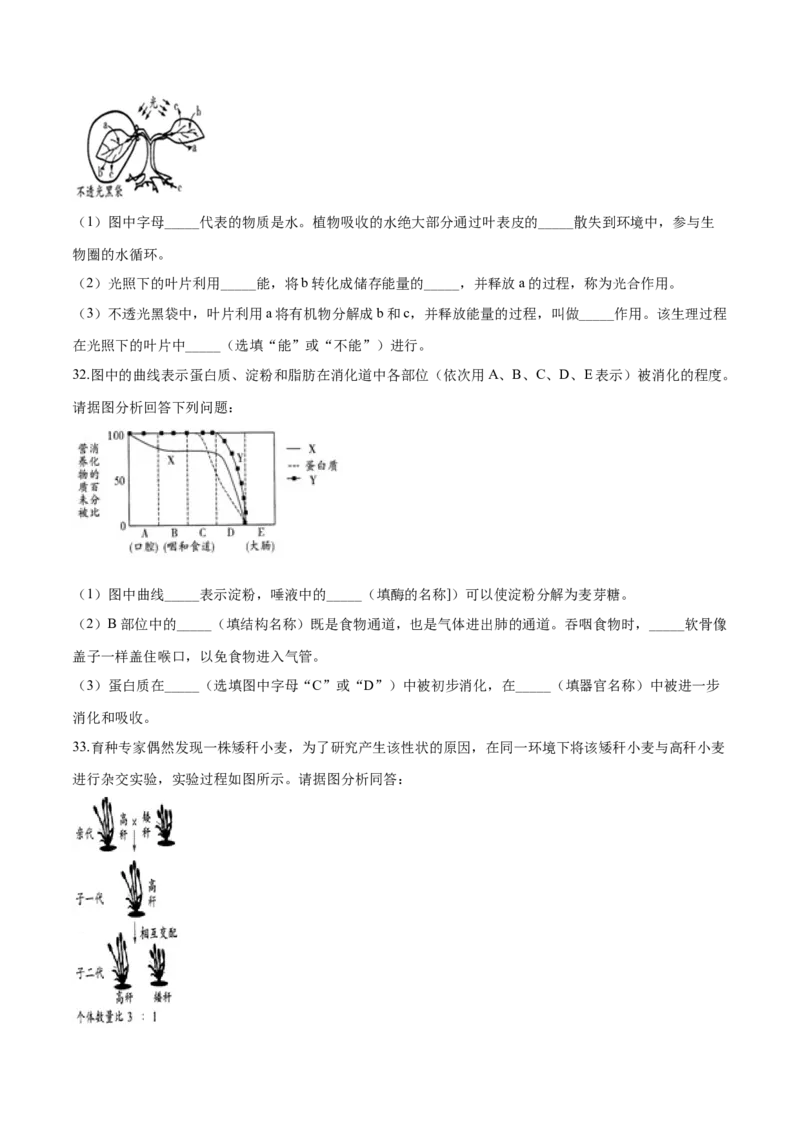 2019年广西省柳州市中考生物试题（空白卷）_中考真题_8.生物中考真题2015-2024年_地区卷_广西省_柳州生物2016-2020