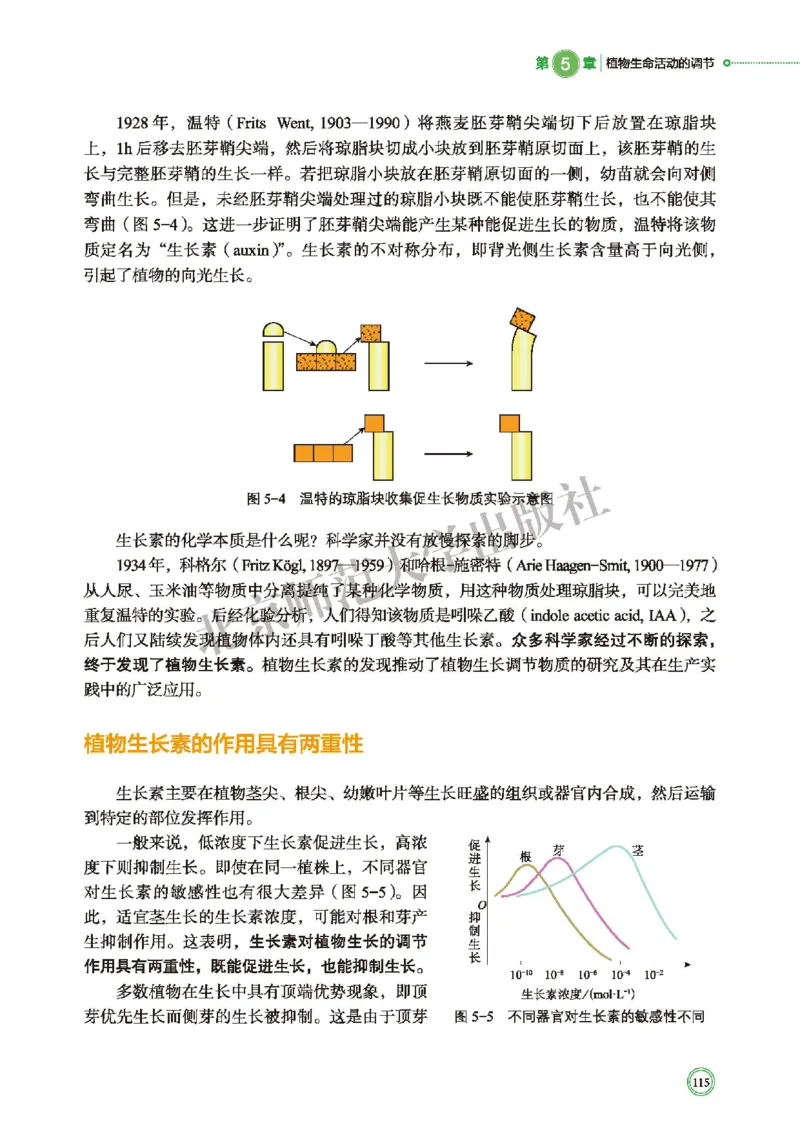 北师大生物选修1高清教材_4-教培资料-26年最新资料-同步更新_初中高中教资_03科三专项（进去保存报考的学科即可）_02科三专项（笔记真题思维导图教学设计版本二）