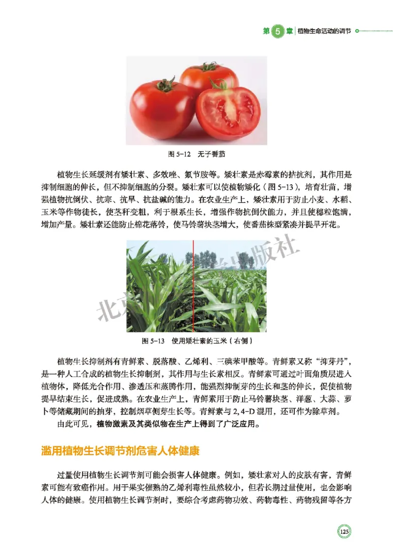 北师大生物选修1高清教材_4-教培资料-26年最新资料-同步更新_初中高中教资_03科三专项（进去保存报考的学科即可）_02科三专项（笔记真题思维导图教学设计版本二）