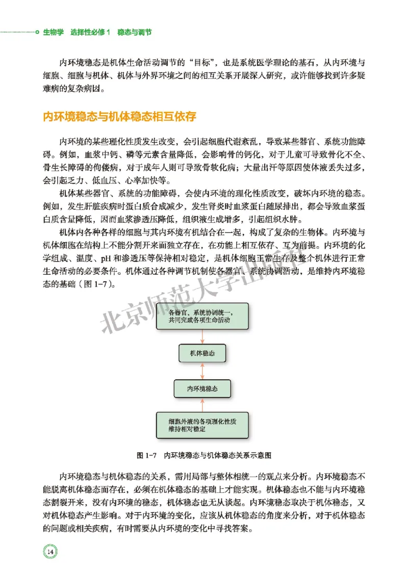 北师大生物选修1高清教材_4-教培资料-26年最新资料-同步更新_初中高中教资_03科三专项（进去保存报考的学科即可）_02科三专项（笔记真题思维导图教学设计版本二）