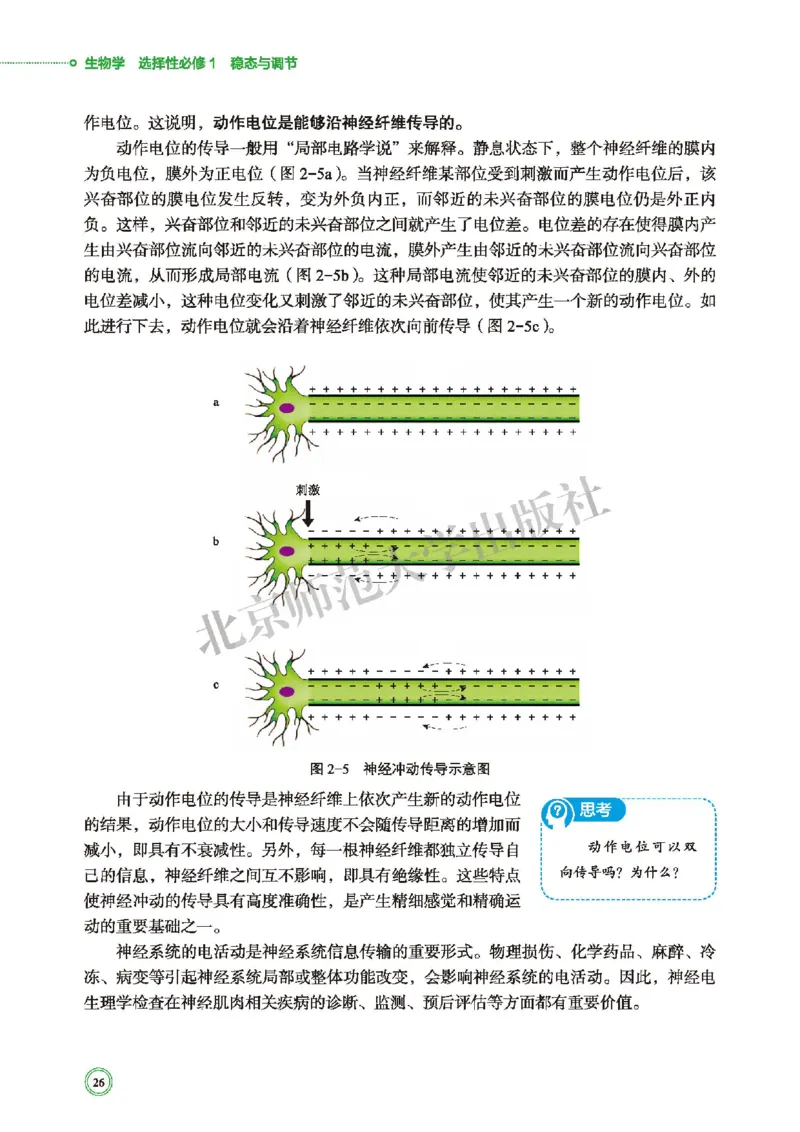 北师大生物选修1高清教材_4-教培资料-26年最新资料-同步更新_初中高中教资_03科三专项（进去保存报考的学科即可）_02科三专项（笔记真题思维导图教学设计版本二）