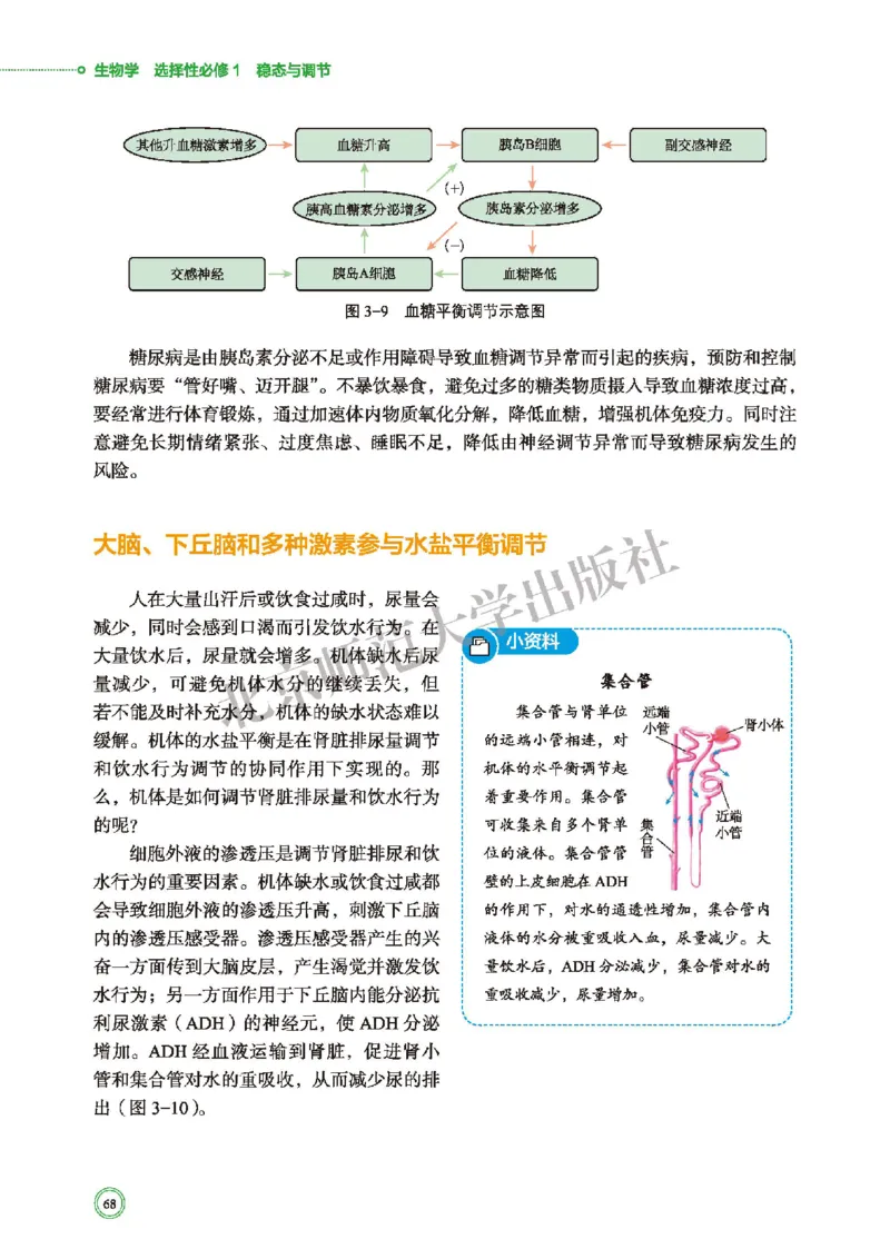北师大生物选修1高清教材_4-教培资料-26年最新资料-同步更新_初中高中教资_03科三专项（进去保存报考的学科即可）_02科三专项（笔记真题思维导图教学设计版本二）