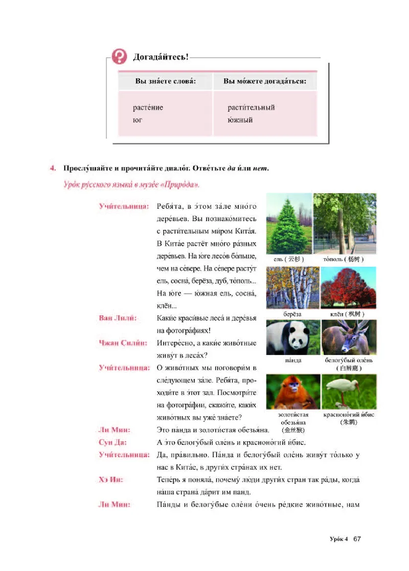 人教版俄语必修第一册高清教材_4-教培资料-26年最新资料-同步更新_初中高中教资_03科三专项（进去保存报考的学科即可）_02科三专项（笔记真题思维导图教学设计版本二）