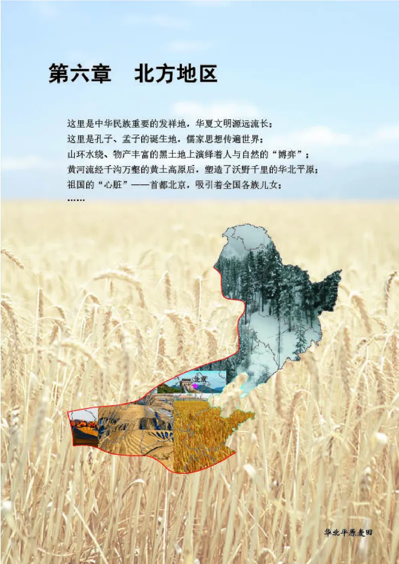 商务版8年级地理下册高清教材_4-教培资料-26年最新资料-同步更新_初中高中教资_03科三专项（进去保存报考的学科即可）_02科三专项（笔记真题思维导图教学设计版本二）