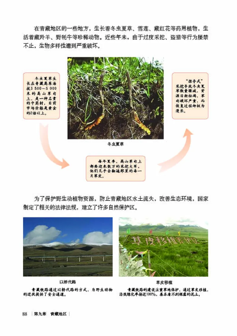 商务版8年级地理下册高清教材_4-教培资料-26年最新资料-同步更新_初中高中教资_03科三专项（进去保存报考的学科即可）_02科三专项（笔记真题思维导图教学设计版本二）