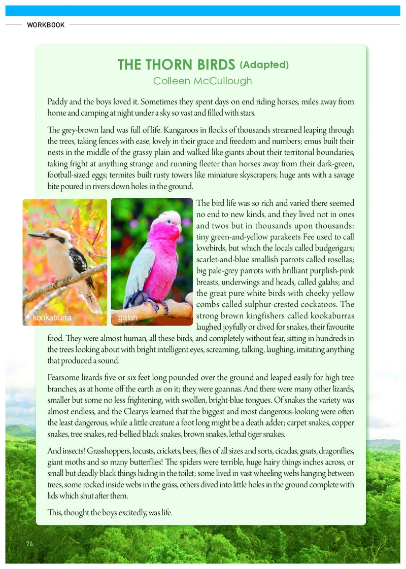 人教版英语选修第四册高清教材_4-教培资料-26年最新资料-同步更新_初中高中教资_03科三专项（进去保存报考的学科即可）_02科三专项（笔记真题思维导图教学设计版本二）