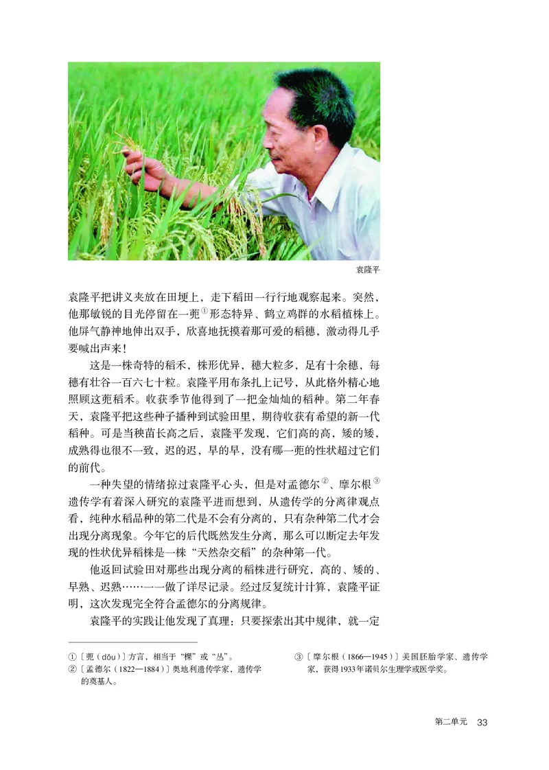 人教版语文必修上册高清教材_4-教培资料-26年最新资料-同步更新_初中高中教资_03科三专项（进去保存报考的学科即可）_02科三专项（笔记真题思维导图教学设计版本二）