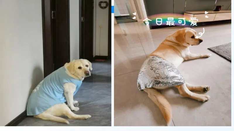 28.毛中特新思想考点精讲8_2026考公资料_（49）政治理论合集_政治理论合集_2025考研政治_09.粉笔_03.强化阶段_00.讲义