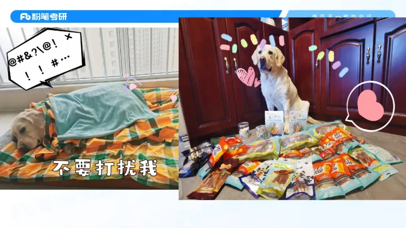 28.毛中特新思想考点精讲8_2026考公资料_（49）政治理论合集_政治理论合集_2025考研政治_09.粉笔_03.强化阶段_00.讲义