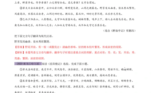 专题10句子翻译（讲练）（全国通用）（解析版）_120中考语文全套复习_中考语文复习总复习_二轮复习资料_完2024年中考语文二轮复习课件+讲义+练习（全国通用）_模块二文言文阅读