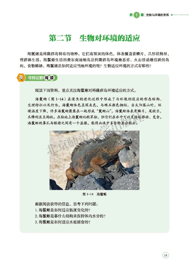 北师大生物选修2高清教材_4-教培资料-26年最新资料-同步更新_初中高中教资_03科三专项（进去保存报考的学科即可）_02科三专项（笔记真题思维导图教学设计版本二）