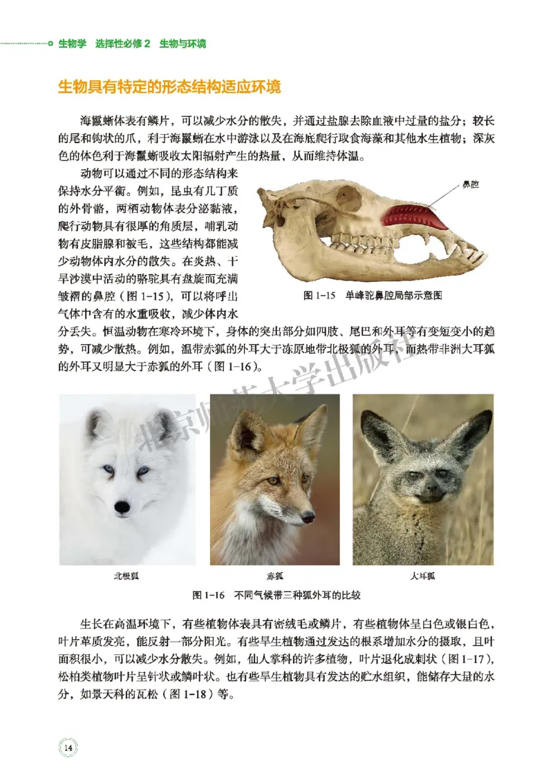 北师大生物选修2高清教材_4-教培资料-26年最新资料-同步更新_初中高中教资_03科三专项（进去保存报考的学科即可）_02科三专项（笔记真题思维导图教学设计版本二）