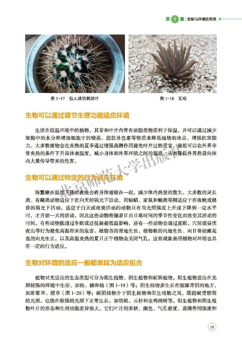 北师大生物选修2高清教材_4-教培资料-26年最新资料-同步更新_初中高中教资_03科三专项（进去保存报考的学科即可）_02科三专项（笔记真题思维导图教学设计版本二）
