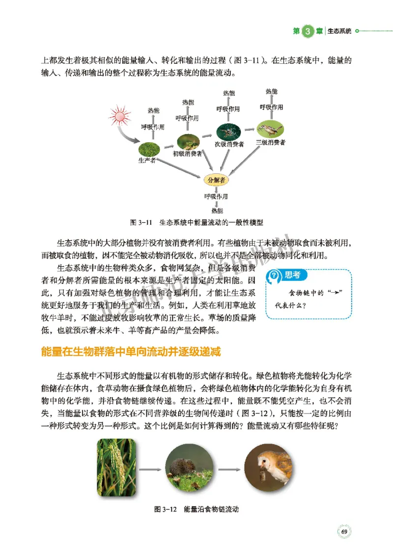 北师大生物选修2高清教材_4-教培资料-26年最新资料-同步更新_初中高中教资_03科三专项（进去保存报考的学科即可）_02科三专项（笔记真题思维导图教学设计版本二）