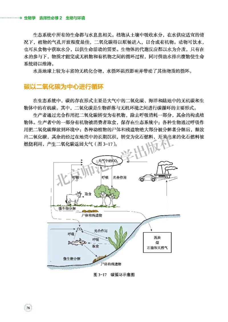 北师大生物选修2高清教材_4-教培资料-26年最新资料-同步更新_初中高中教资_03科三专项（进去保存报考的学科即可）_02科三专项（笔记真题思维导图教学设计版本二）