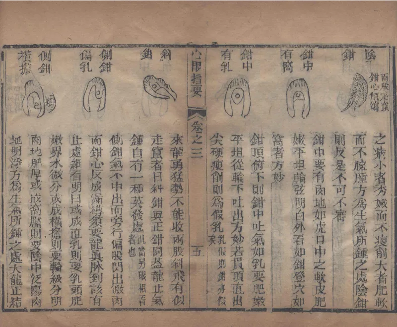 地理辨正直解.清.蒋大鸿.著.清道光间善成堂刊本-（地理辨正五卷，心眼指要四卷，天元五歌阐义五卷）_t涯_绝版古籍电子书合集（13大类）_风水类