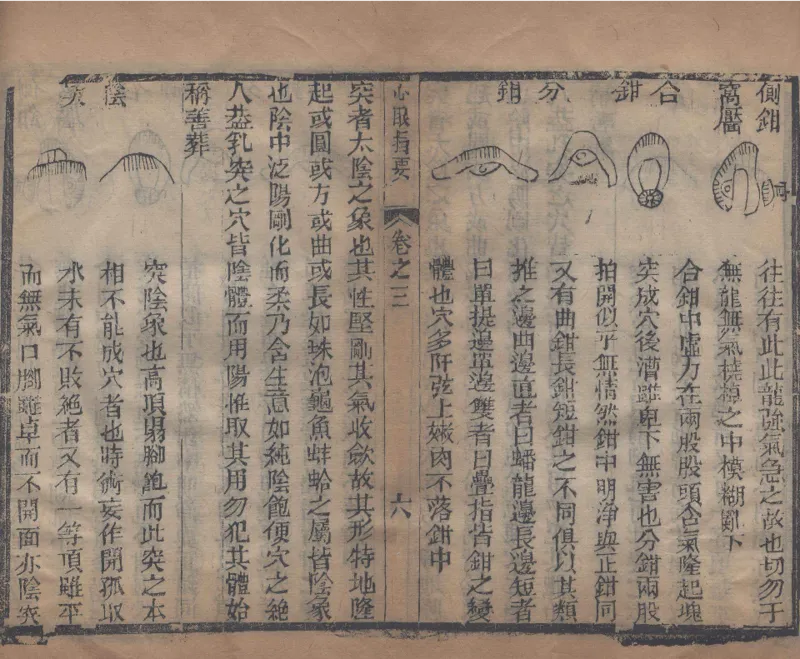 地理辨正直解.清.蒋大鸿.著.清道光间善成堂刊本-（地理辨正五卷，心眼指要四卷，天元五歌阐义五卷）_t涯_绝版古籍电子书合集（13大类）_风水类