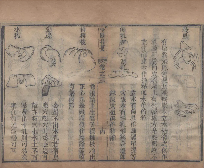 地理辨正直解.清.蒋大鸿.著.清道光间善成堂刊本-（地理辨正五卷，心眼指要四卷，天元五歌阐义五卷）_t涯_绝版古籍电子书合集（13大类）_风水类