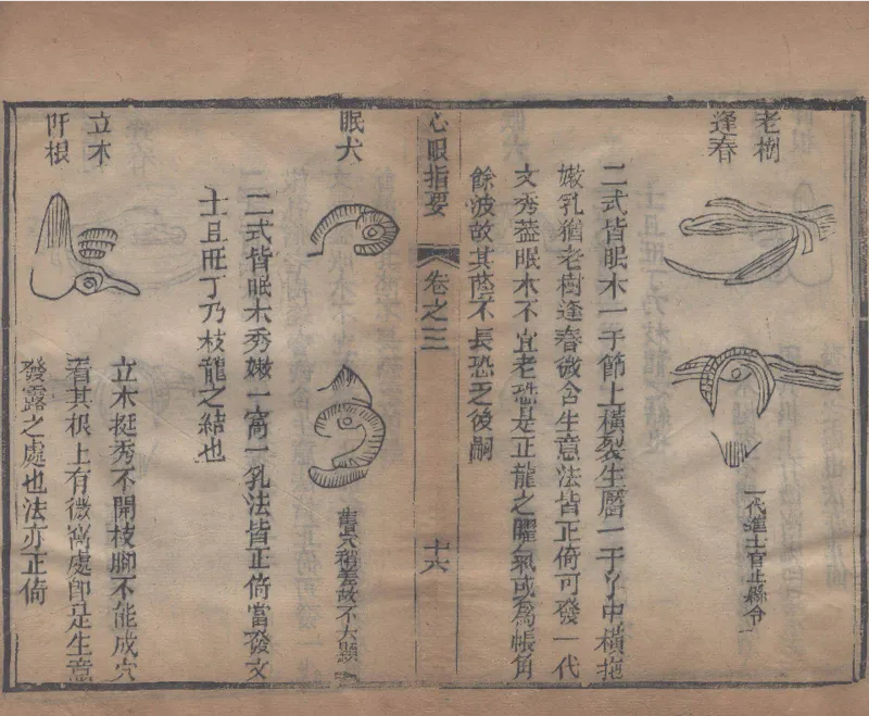 地理辨正直解.清.蒋大鸿.著.清道光间善成堂刊本-（地理辨正五卷，心眼指要四卷，天元五歌阐义五卷）_t涯_绝版古籍电子书合集（13大类）_风水类