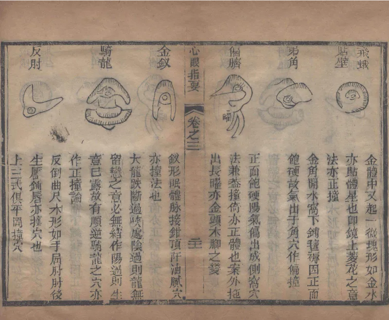 地理辨正直解.清.蒋大鸿.著.清道光间善成堂刊本-（地理辨正五卷，心眼指要四卷，天元五歌阐义五卷）_t涯_绝版古籍电子书合集（13大类）_风水类