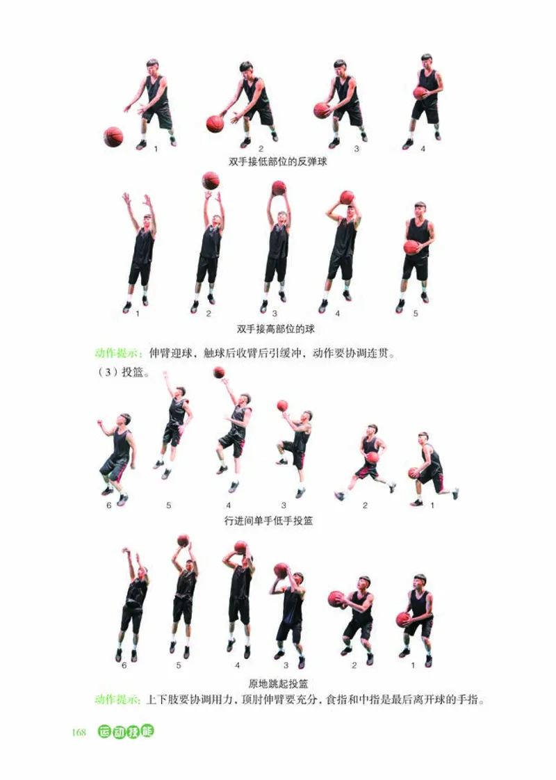 冀教版体育全一册高清教材_4-教培资料-26年最新资料-同步更新_初中高中教资_03科三专项（进去保存报考的学科即可）_02科三专项（笔记真题思维导图教学设计版本二）