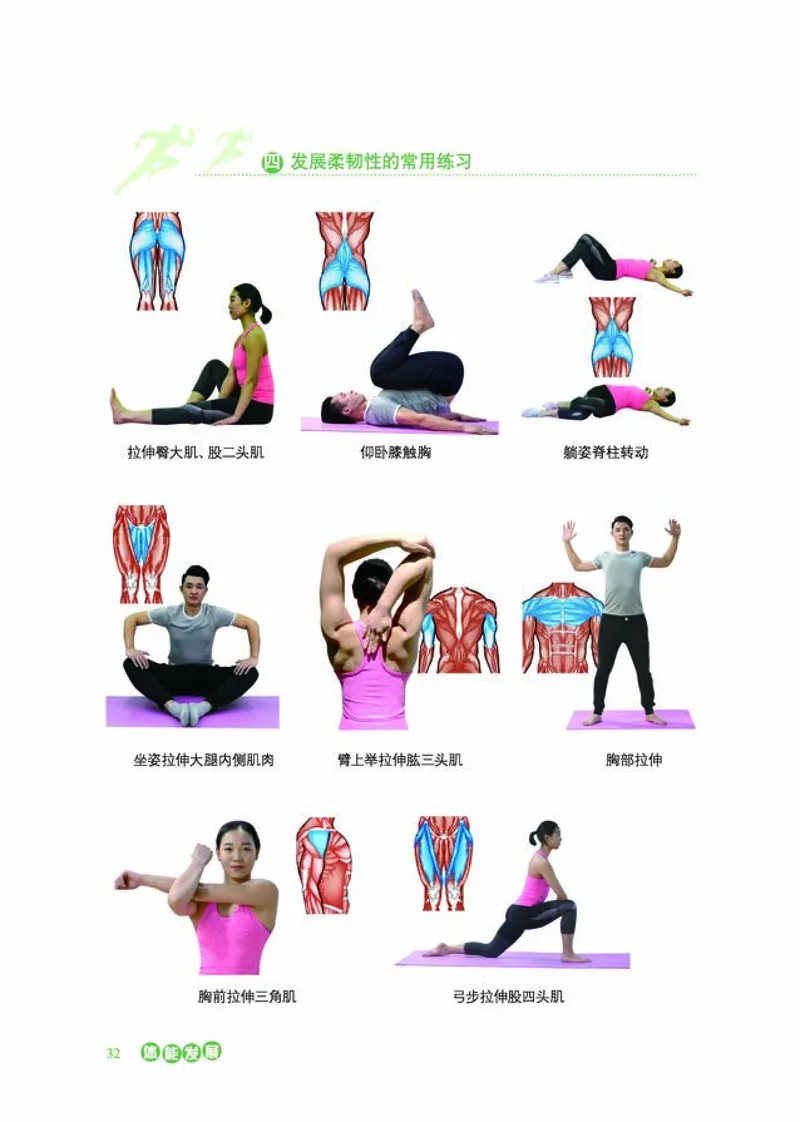 冀教版体育全一册高清教材_4-教培资料-26年最新资料-同步更新_初中高中教资_03科三专项（进去保存报考的学科即可）_02科三专项（笔记真题思维导图教学设计版本二）