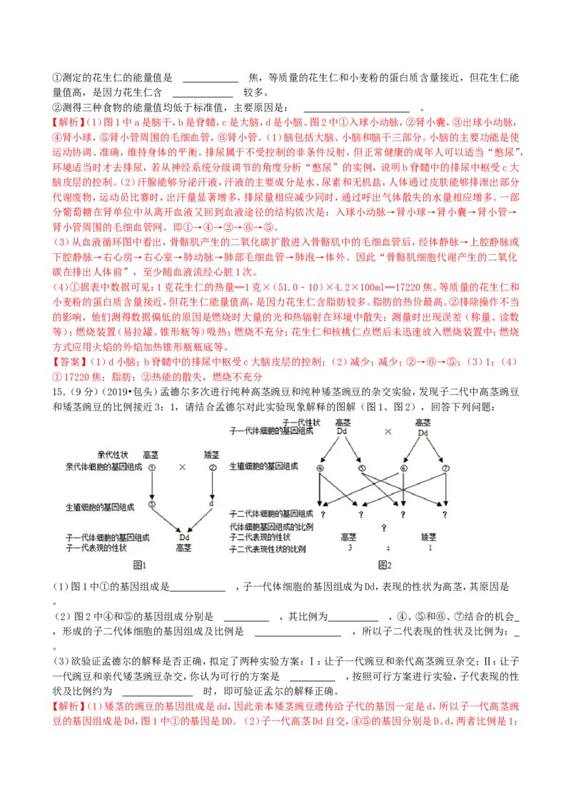 2019年内蒙古包头市中考生物真题及答案解析_中考真题_8.生物中考真题2015-2024年_地区卷_内蒙古_内蒙古包头生物19-22