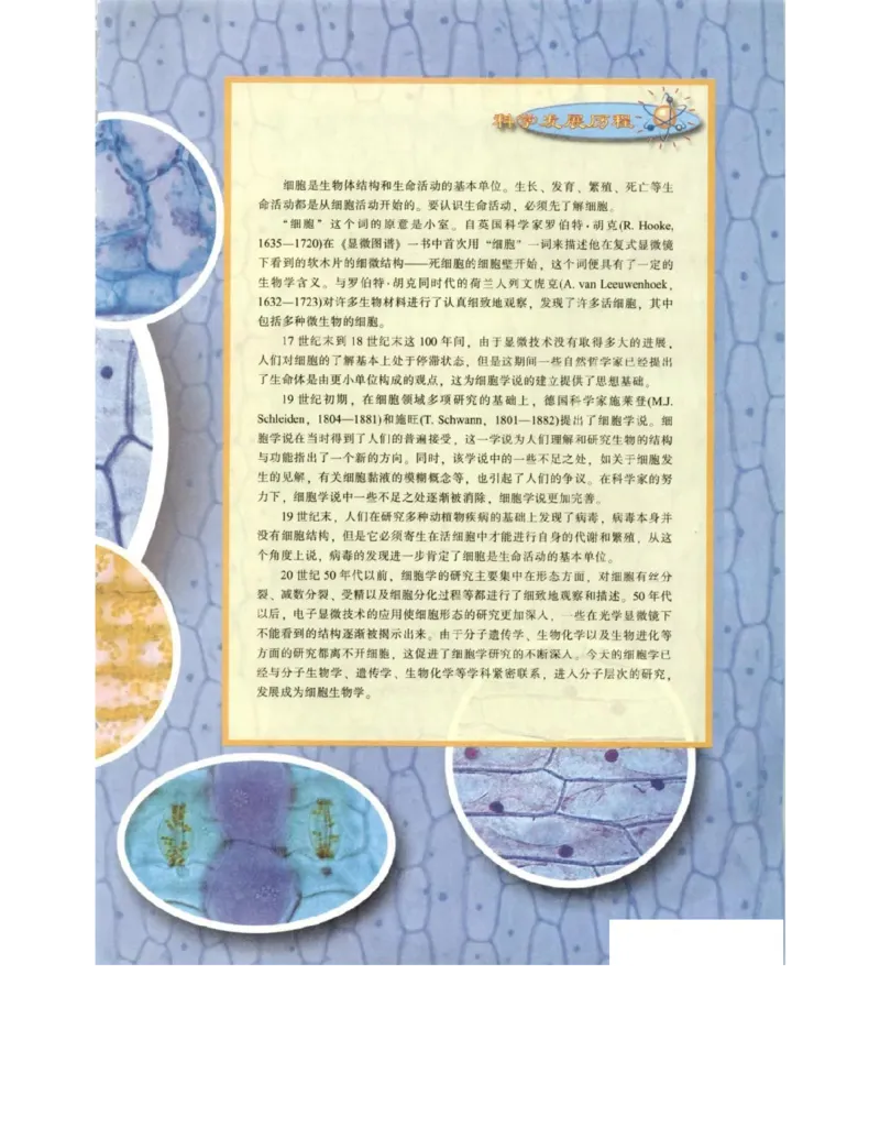 北师大版高中生物必修1电子课本_4-教培资料-26年最新资料-同步更新_初中高中教资_03科三专项（进去保存报考的学科即可）_02科三专项（笔记真题思维导图教学设计版本二）