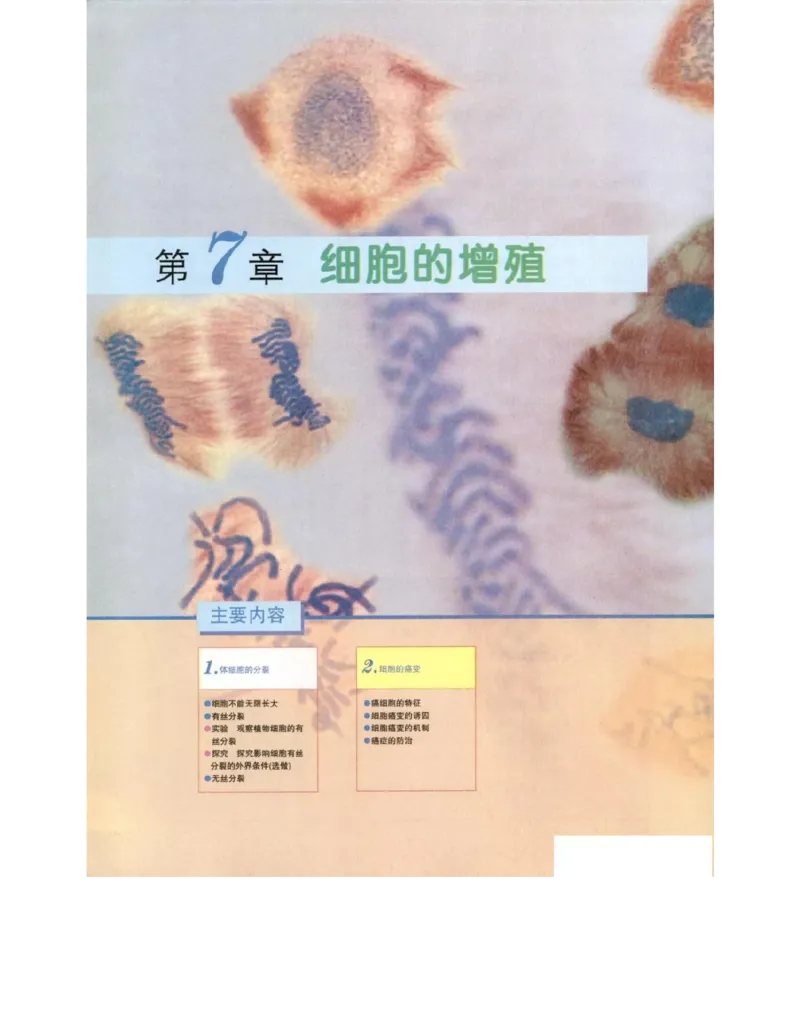 北师大版高中生物必修1电子课本_4-教培资料-26年最新资料-同步更新_初中高中教资_03科三专项（进去保存报考的学科即可）_02科三专项（笔记真题思维导图教学设计版本二）