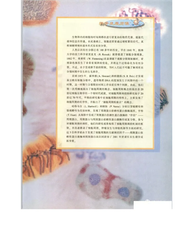 北师大版高中生物必修1电子课本_4-教培资料-26年最新资料-同步更新_初中高中教资_03科三专项（进去保存报考的学科即可）_02科三专项（笔记真题思维导图教学设计版本二）