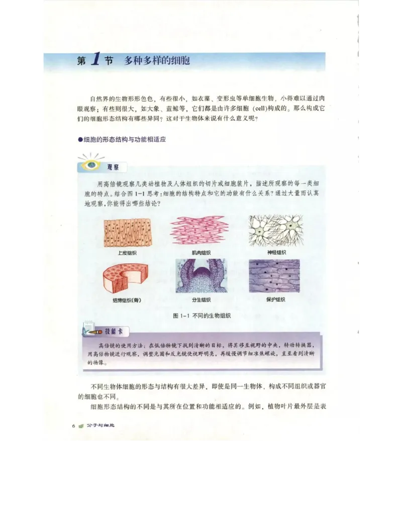 北师大版高中生物必修1电子课本_4-教培资料-26年最新资料-同步更新_初中高中教资_03科三专项（进去保存报考的学科即可）_02科三专项（笔记真题思维导图教学设计版本二）