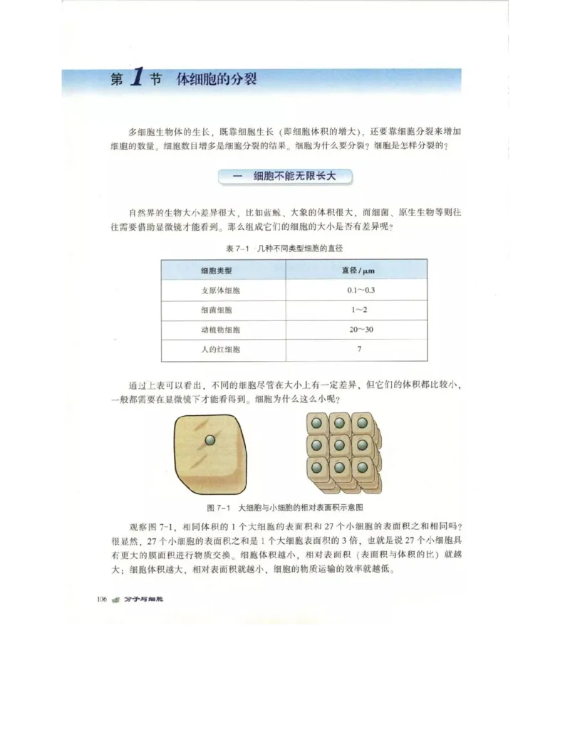 北师大版高中生物必修1电子课本_4-教培资料-26年最新资料-同步更新_初中高中教资_03科三专项（进去保存报考的学科即可）_02科三专项（笔记真题思维导图教学设计版本二）