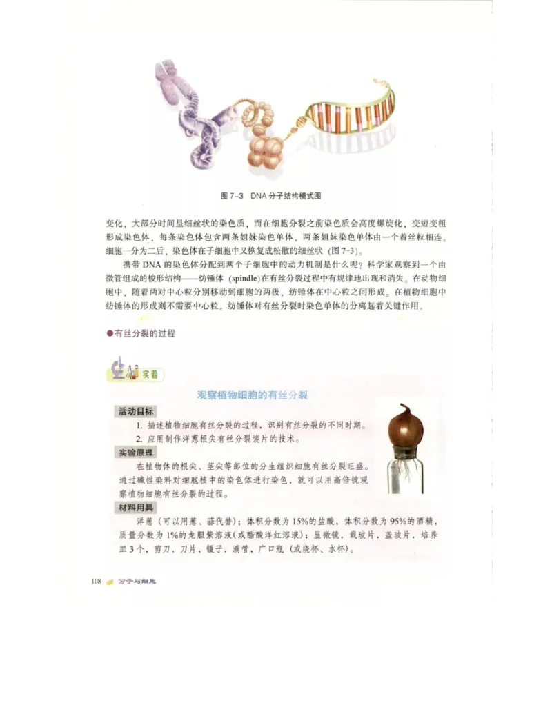 北师大版高中生物必修1电子课本_4-教培资料-26年最新资料-同步更新_初中高中教资_03科三专项（进去保存报考的学科即可）_02科三专项（笔记真题思维导图教学设计版本二）