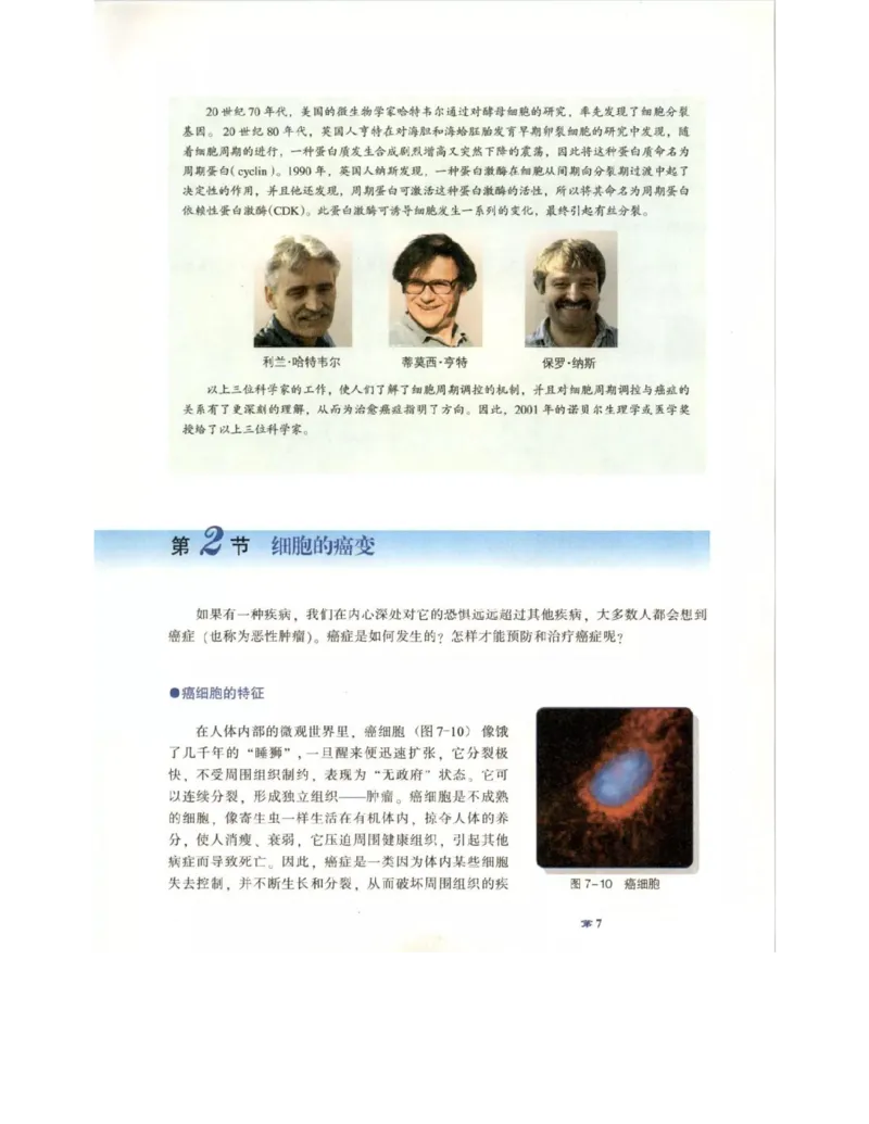 北师大版高中生物必修1电子课本_4-教培资料-26年最新资料-同步更新_初中高中教资_03科三专项（进去保存报考的学科即可）_02科三专项（笔记真题思维导图教学设计版本二）