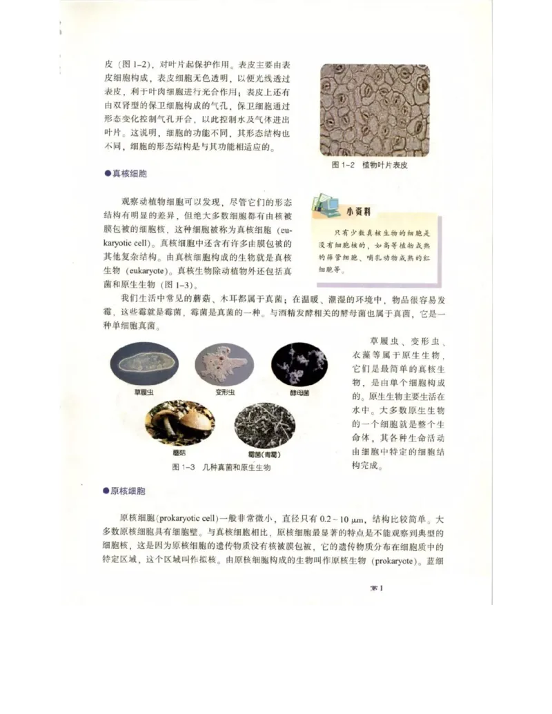 北师大版高中生物必修1电子课本_4-教培资料-26年最新资料-同步更新_初中高中教资_03科三专项（进去保存报考的学科即可）_02科三专项（笔记真题思维导图教学设计版本二）