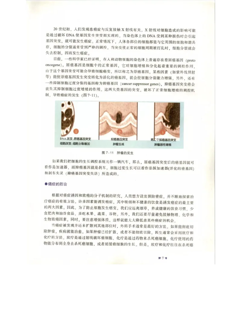 北师大版高中生物必修1电子课本_4-教培资料-26年最新资料-同步更新_初中高中教资_03科三专项（进去保存报考的学科即可）_02科三专项（笔记真题思维导图教学设计版本二）
