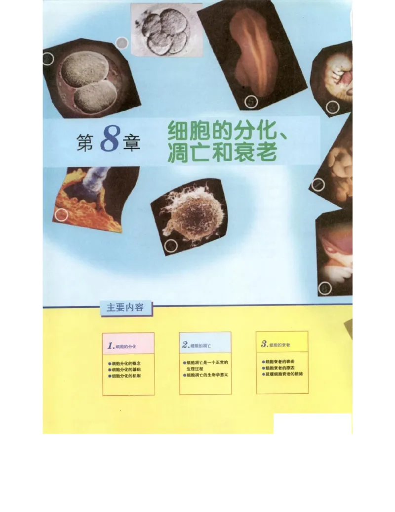 北师大版高中生物必修1电子课本_4-教培资料-26年最新资料-同步更新_初中高中教资_03科三专项（进去保存报考的学科即可）_02科三专项（笔记真题思维导图教学设计版本二）