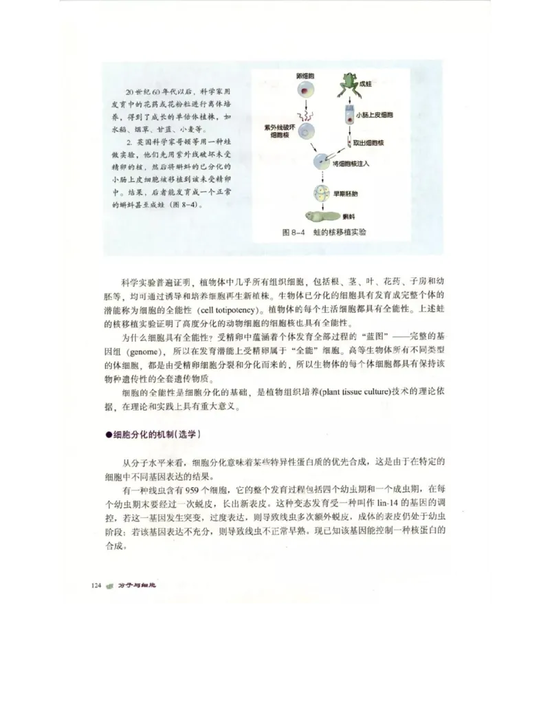 北师大版高中生物必修1电子课本_4-教培资料-26年最新资料-同步更新_初中高中教资_03科三专项（进去保存报考的学科即可）_02科三专项（笔记真题思维导图教学设计版本二）