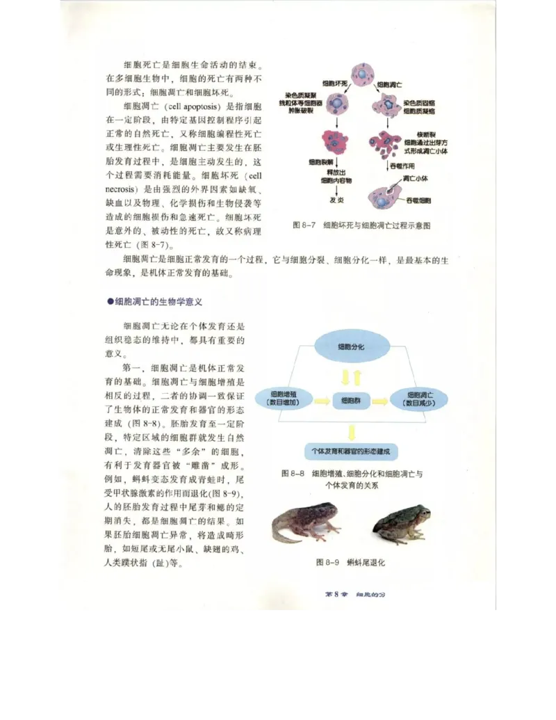 北师大版高中生物必修1电子课本_4-教培资料-26年最新资料-同步更新_初中高中教资_03科三专项（进去保存报考的学科即可）_02科三专项（笔记真题思维导图教学设计版本二）