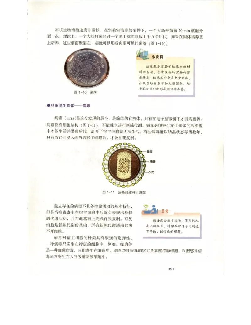 北师大版高中生物必修1电子课本_4-教培资料-26年最新资料-同步更新_初中高中教资_03科三专项（进去保存报考的学科即可）_02科三专项（笔记真题思维导图教学设计版本二）