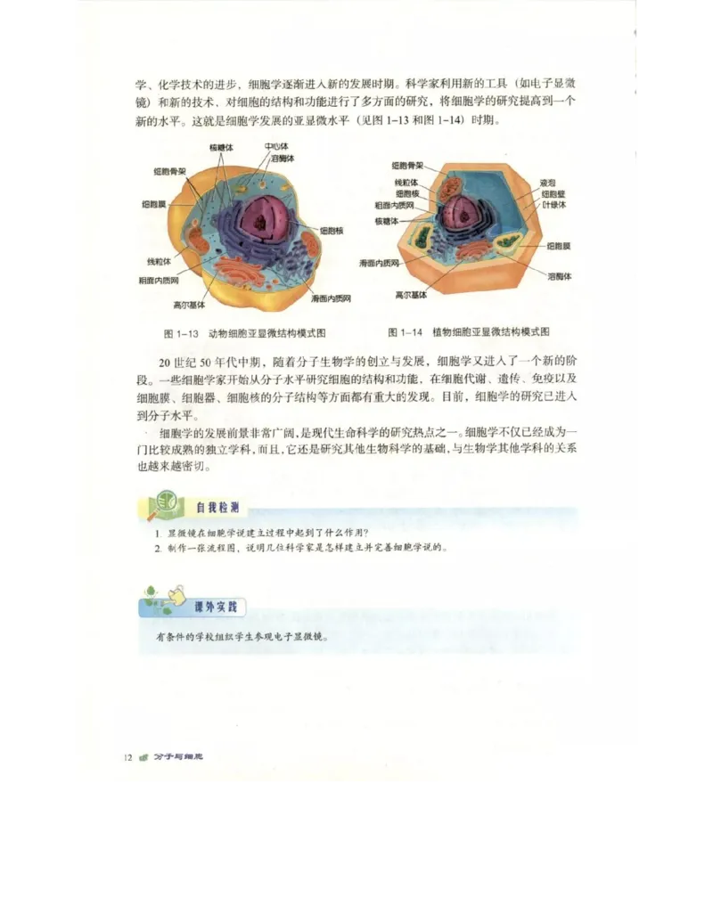 北师大版高中生物必修1电子课本_4-教培资料-26年最新资料-同步更新_初中高中教资_03科三专项（进去保存报考的学科即可）_02科三专项（笔记真题思维导图教学设计版本二）