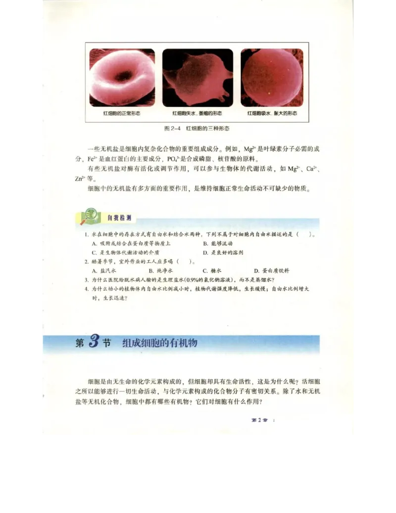 北师大版高中生物必修1电子课本_4-教培资料-26年最新资料-同步更新_初中高中教资_03科三专项（进去保存报考的学科即可）_02科三专项（笔记真题思维导图教学设计版本二）