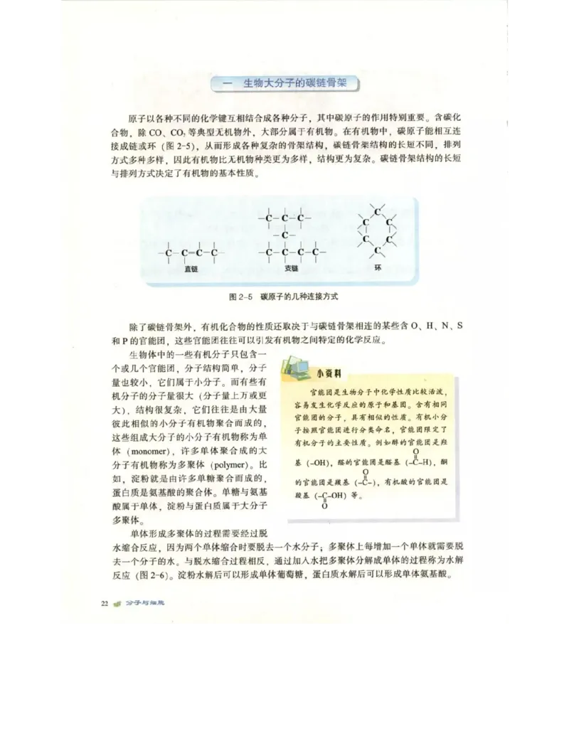 北师大版高中生物必修1电子课本_4-教培资料-26年最新资料-同步更新_初中高中教资_03科三专项（进去保存报考的学科即可）_02科三专项（笔记真题思维导图教学设计版本二）