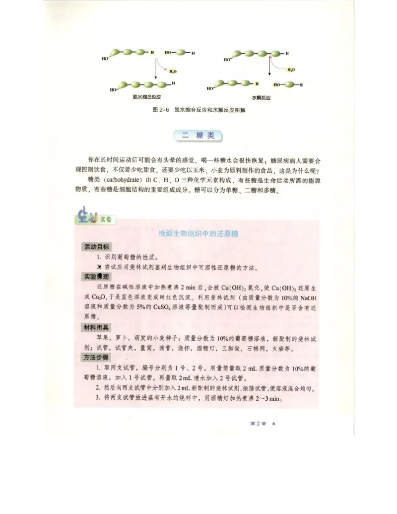 北师大版高中生物必修1电子课本_4-教培资料-26年最新资料-同步更新_初中高中教资_03科三专项（进去保存报考的学科即可）_02科三专项（笔记真题思维导图教学设计版本二）