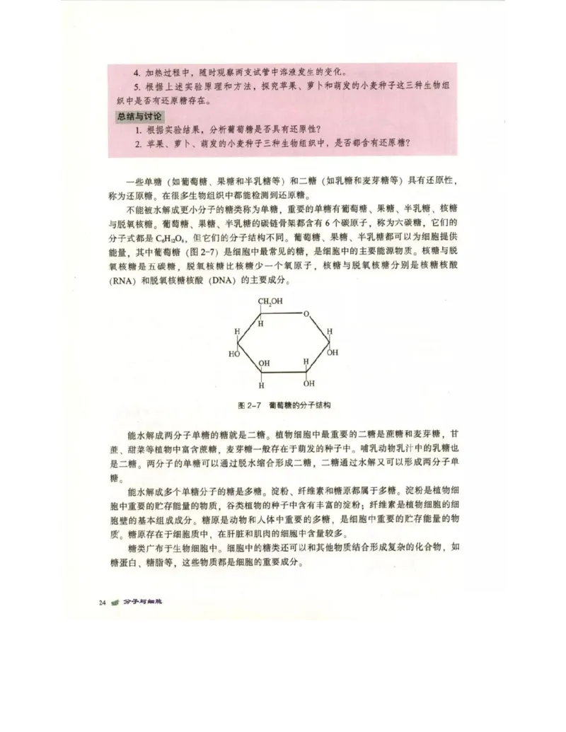 北师大版高中生物必修1电子课本_4-教培资料-26年最新资料-同步更新_初中高中教资_03科三专项（进去保存报考的学科即可）_02科三专项（笔记真题思维导图教学设计版本二）