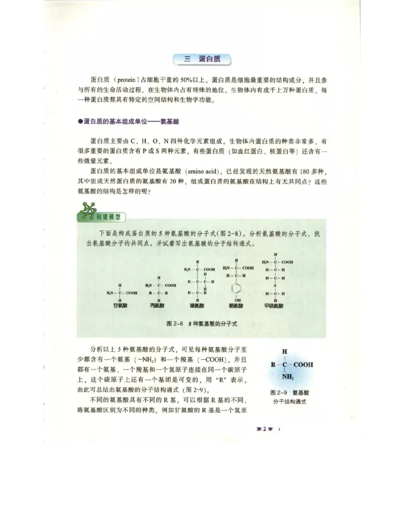 北师大版高中生物必修1电子课本_4-教培资料-26年最新资料-同步更新_初中高中教资_03科三专项（进去保存报考的学科即可）_02科三专项（笔记真题思维导图教学设计版本二）
