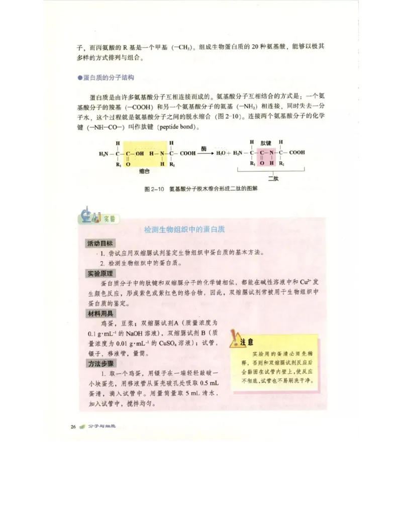 北师大版高中生物必修1电子课本_4-教培资料-26年最新资料-同步更新_初中高中教资_03科三专项（进去保存报考的学科即可）_02科三专项（笔记真题思维导图教学设计版本二）