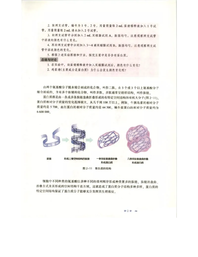 北师大版高中生物必修1电子课本_4-教培资料-26年最新资料-同步更新_初中高中教资_03科三专项（进去保存报考的学科即可）_02科三专项（笔记真题思维导图教学设计版本二）