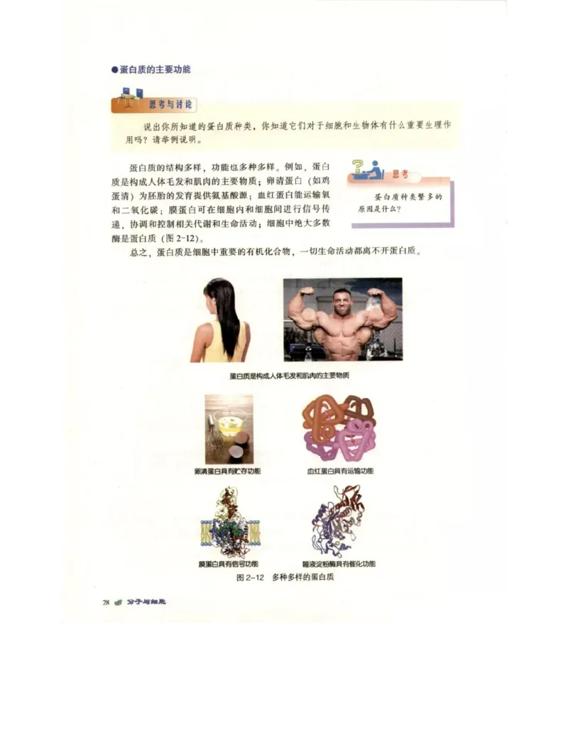 北师大版高中生物必修1电子课本_4-教培资料-26年最新资料-同步更新_初中高中教资_03科三专项（进去保存报考的学科即可）_02科三专项（笔记真题思维导图教学设计版本二）