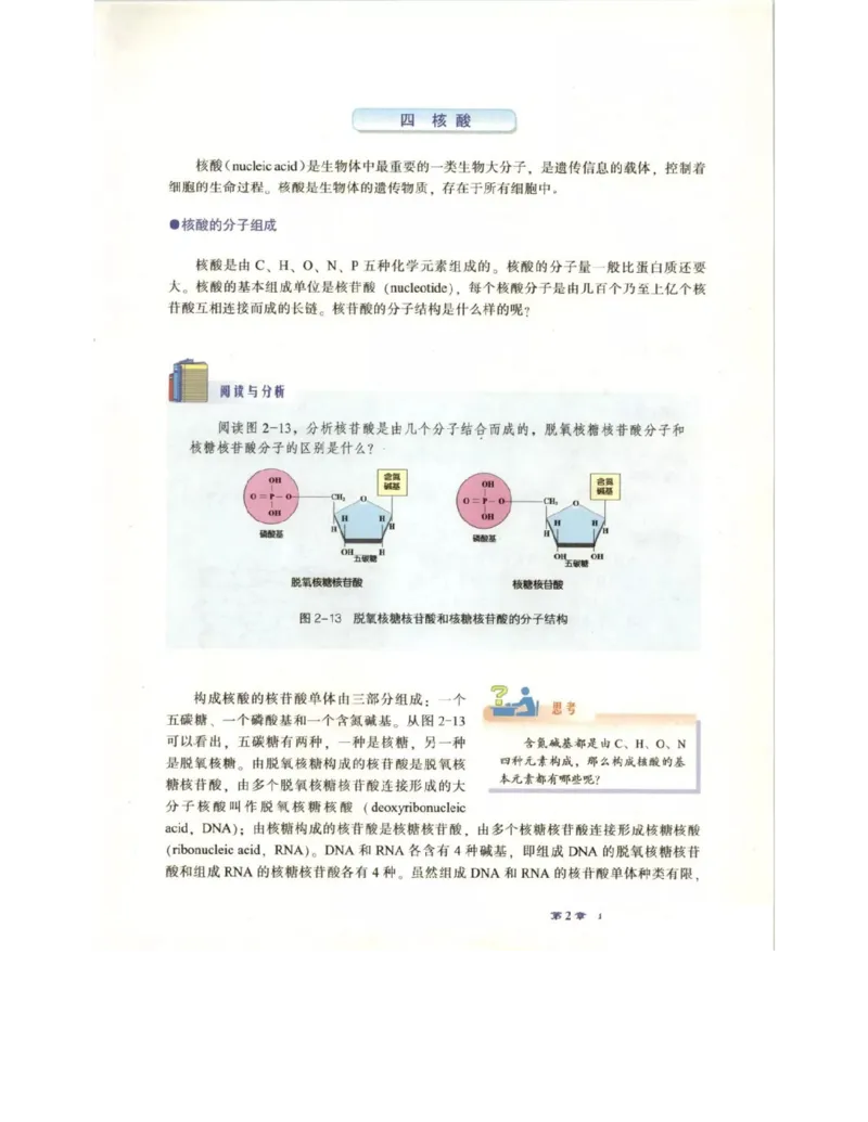 北师大版高中生物必修1电子课本_4-教培资料-26年最新资料-同步更新_初中高中教资_03科三专项（进去保存报考的学科即可）_02科三专项（笔记真题思维导图教学设计版本二）
